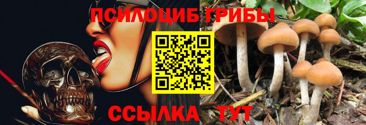 Лесной  Псилоцибиновые грибы мицелий  наркота  Вход с VPN  Галлюциногенные грибы MAGIC MUSHROOMS 