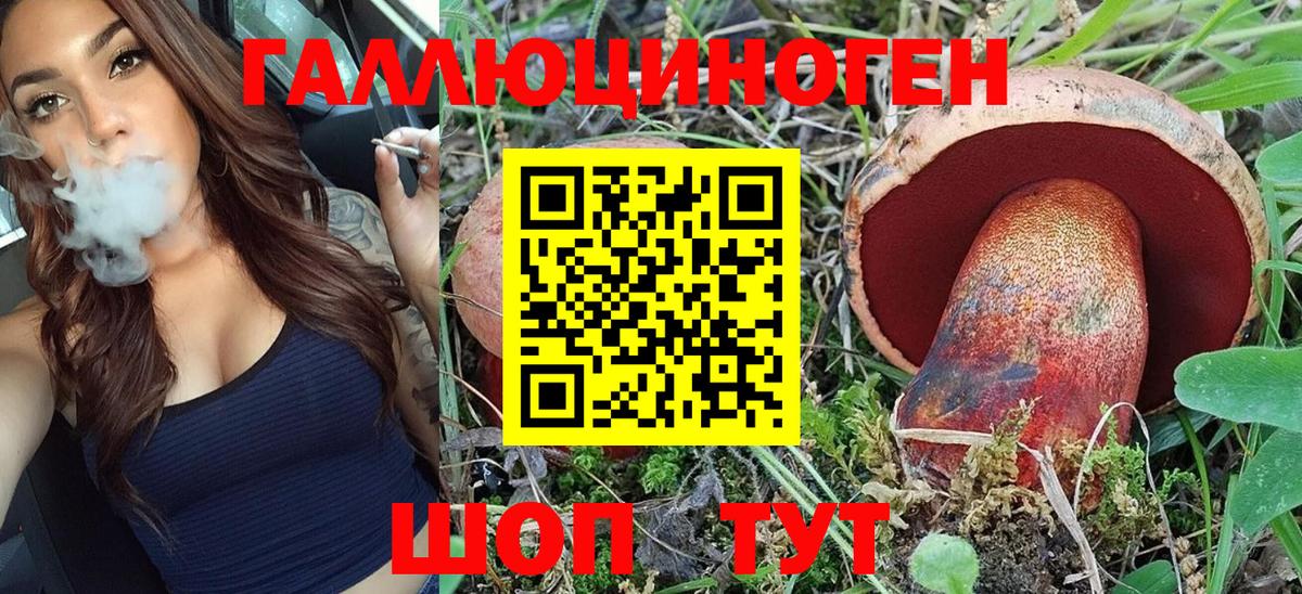 Псилоцибиновые грибы Psilocybe Лесной