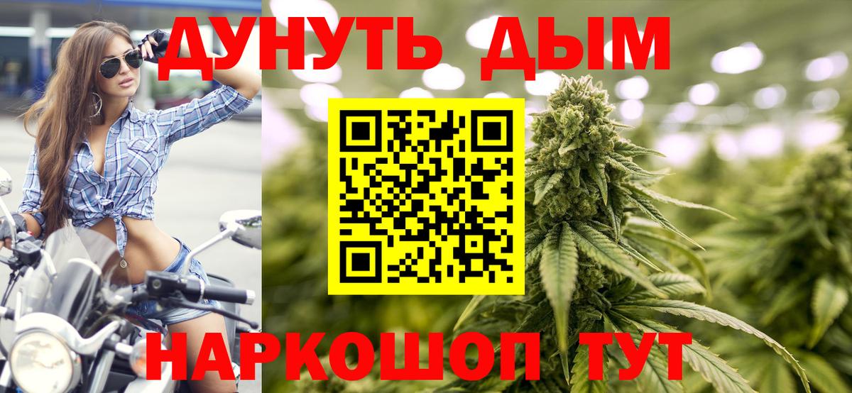 Каннабис сатива Лесной
